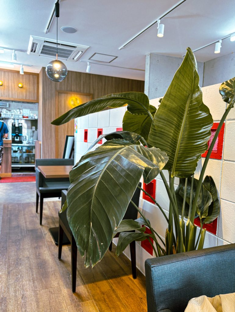 泡瀬　ジェフ　居抜き店舗