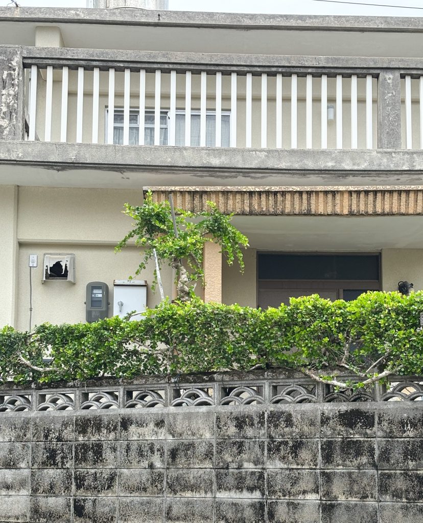 沖縄市　花ブロック　松の木柄